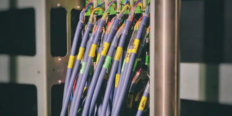 blue LAN cable plugged in green and black router